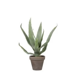 Planta Artificial ALOEVERA Marca MYCA