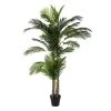 Planta Decorativa 100 X 130 X 210 Cm Verde PVC Palmera -Tienda de muebles de jardín c8685d56c4ae3b3f37770ee6efd1510647ebf050 5ff5ad308bb645afb23814f48824a78c