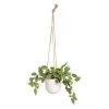 Planta Decorativa 33 X 33 X 24 Cm Blanco Verde PVC -Tienda de muebles de jardín cb0aa4d6f3c197f8ffa20a5480dd4e7034c7816b fbfd57ff58d04c54b11e8ec28fd8cb1e