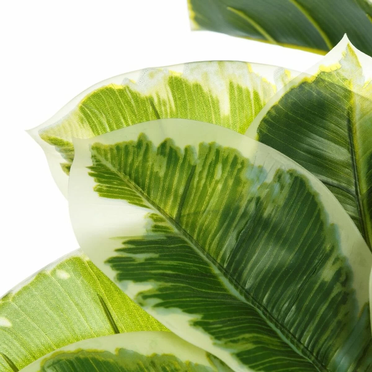 Planta Decorativa 47 X 47 X 132 Cm Verde PVC Roble 5 Planta Decorativa 47 X 47 X 132 Cm Verde PVC Roble - Imagen 3