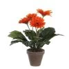 PLANTA GERBERA NARANJA
