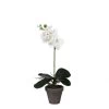 ORQUIDEA BLANCA -Tienda de muebles de jardín d046bea0f080197f3c43c0e026a64bd88a4a0c2b 103290