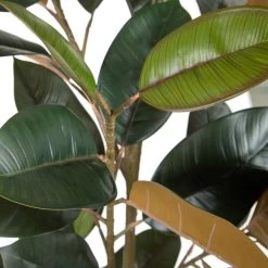 Planta Decorativa 49 X 45 X 125 Cm PVC Ficus Verde Oscuro -Tienda de muebles de jardín db155547d3df48a8fb74c4580fc8f6f6fd472c0e 619a52a3134f44b08286e0083f6e5da4