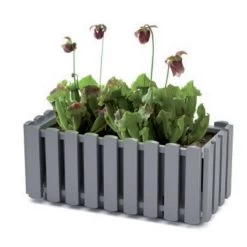 Prosperplast Jardinera Para Balcón BOARDEE FENCYCASE, Dimensiones (mm) 580x180x162, Color Gris Piedra -Tienda de muebles de jardín e045dccf79b00b708ca6c7fb785ce60bfeaeebb1 b2a6950a27354dab82db87cb092627ee