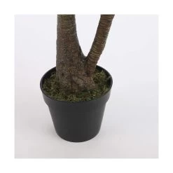Planta Decorativa Mica Decorations Yucca (120 X 60 Cm) -Tienda de muebles de jardín e58e491237ed1ea61d1d6406727910c0bad0a827 5381621f04c045ceac59fad7e6ce2386